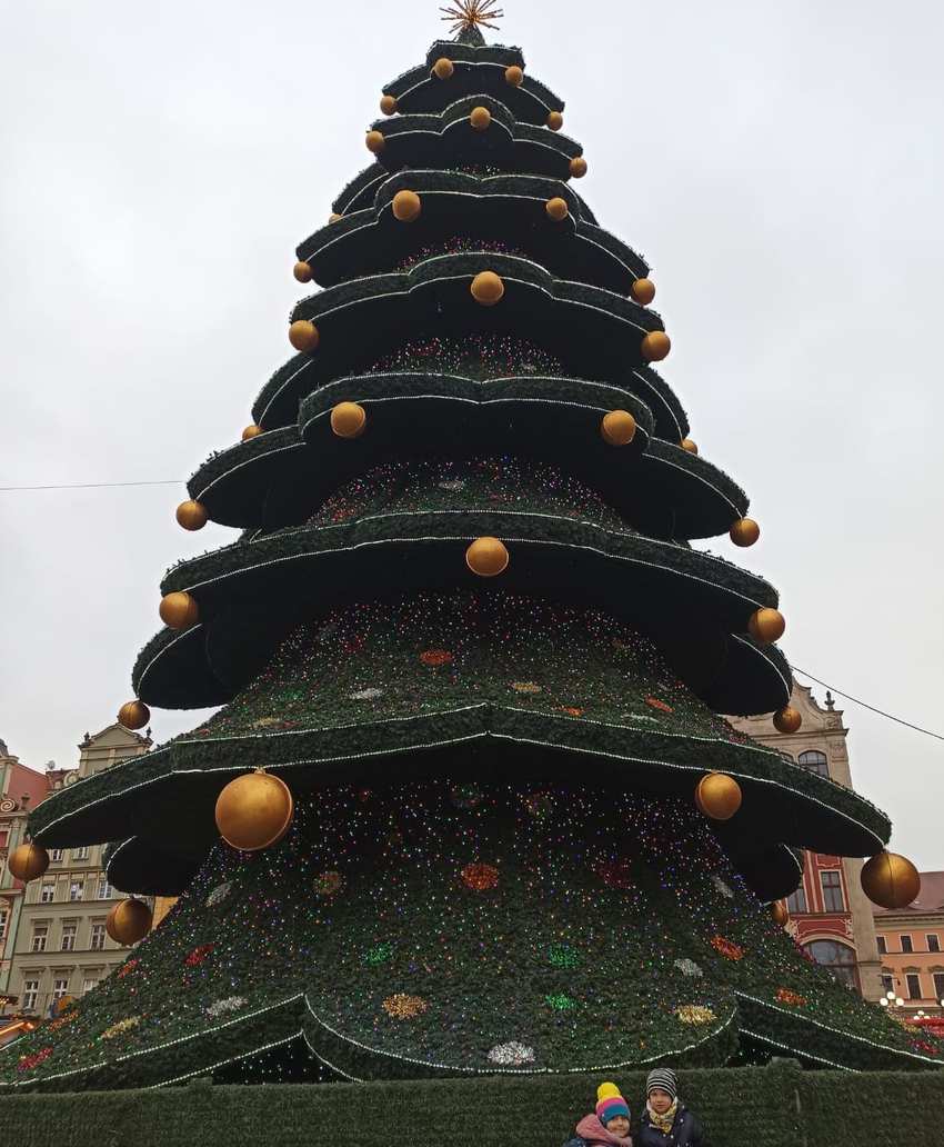 Christmas market stalls in Wrocław