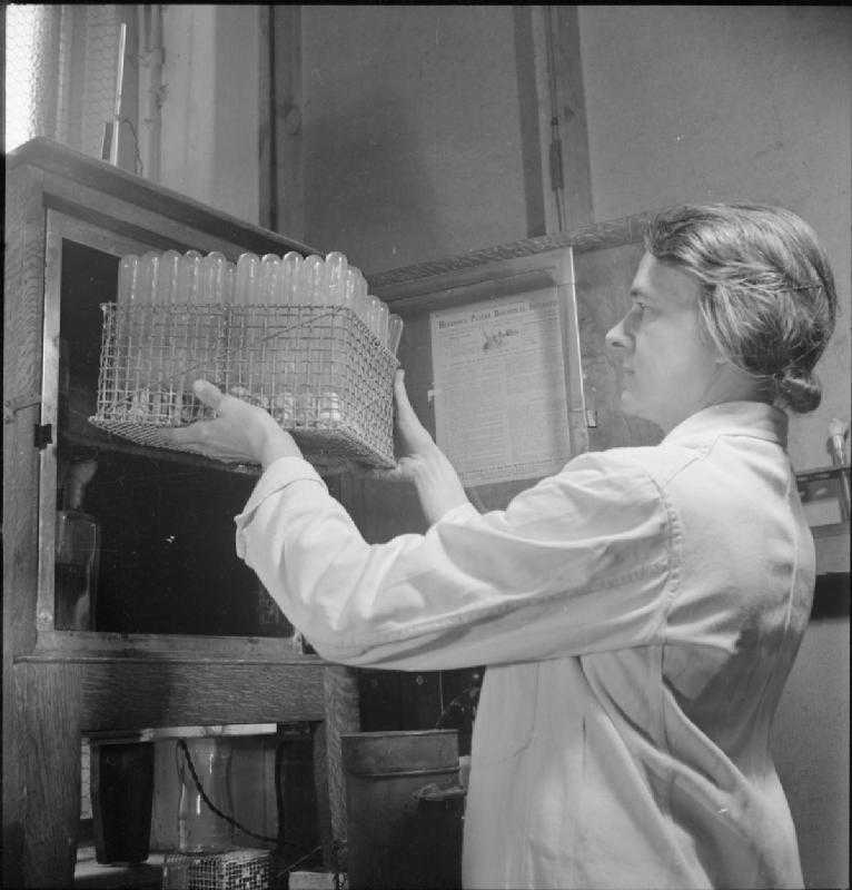 A laboratory processing blood samples - the basic panel is six standard tests