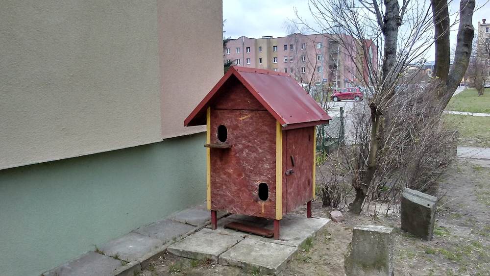 A shelter for cats in Tomaszów Mazowiecki, Poland