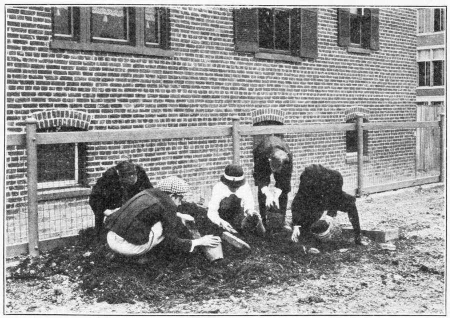 A home compost heap - single-family homes that declare composting may be exempt from bio-waste collection